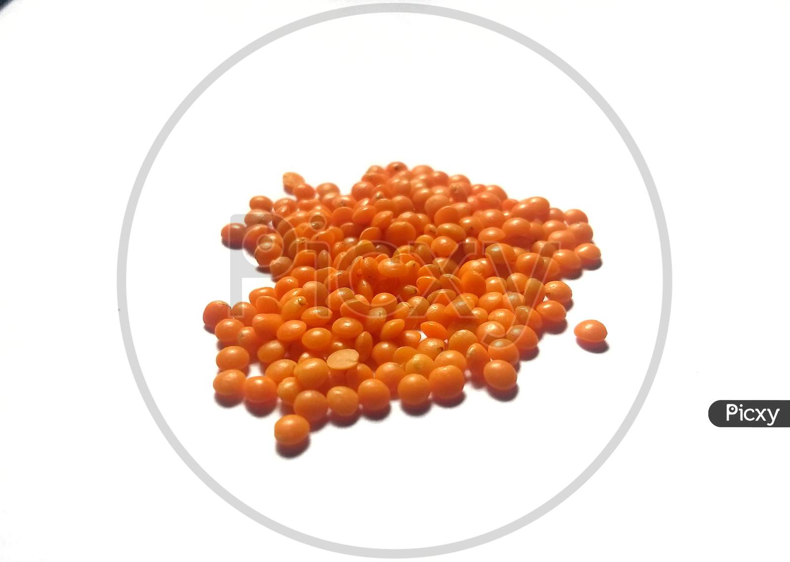 Red lentils or Masoor dal in white background