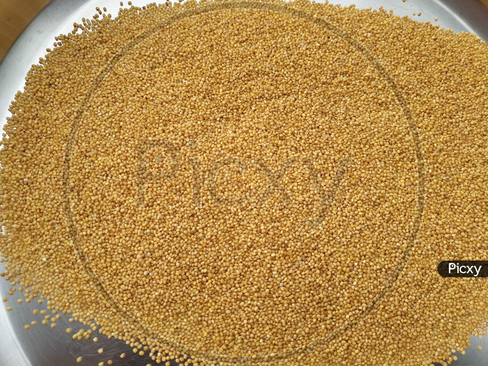 These are the foxtail millet