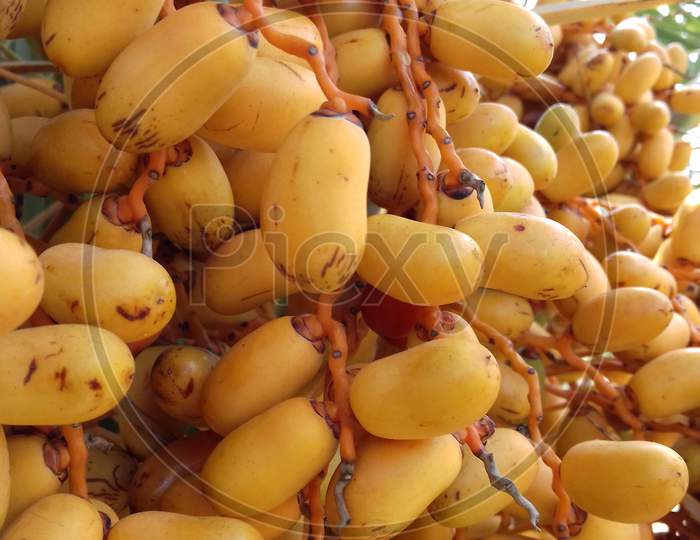 yellow dates
