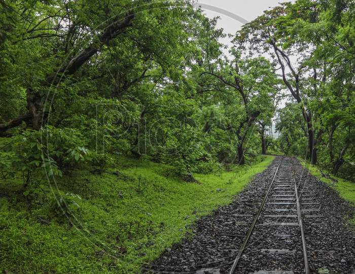 Railway track through forest area
