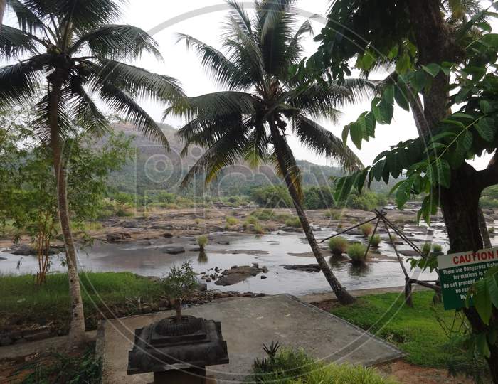 view of natural beauty in Kerala