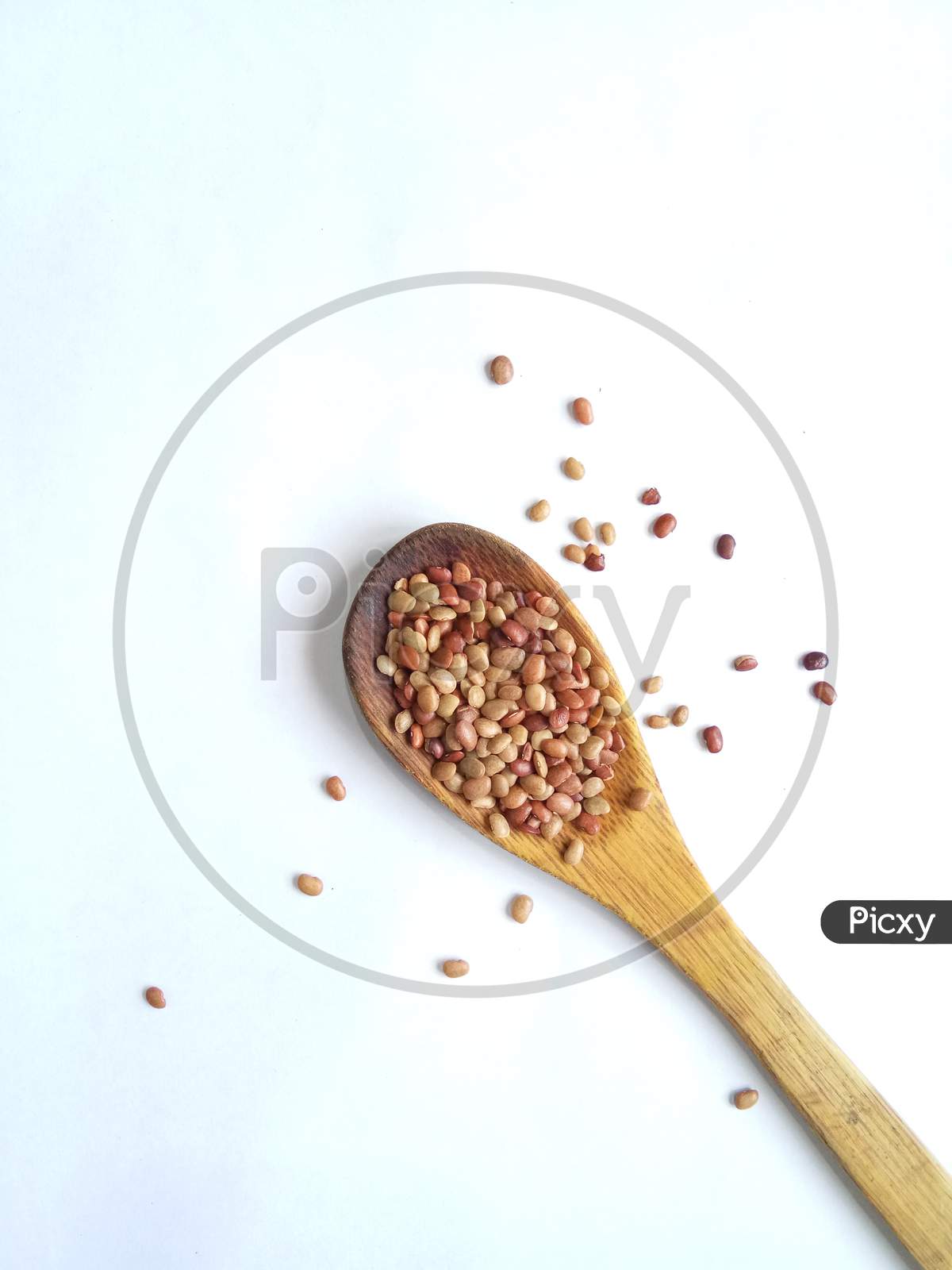 Horse gram in wooden spoon isolated in white background