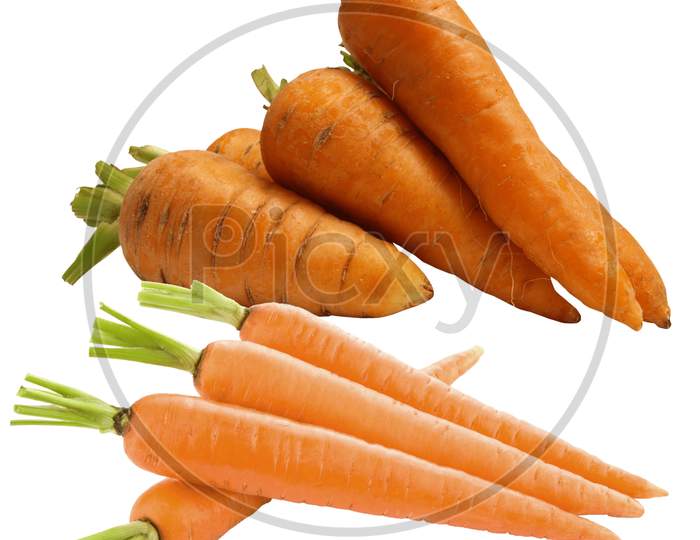 Carrots isolated with white backgrounds