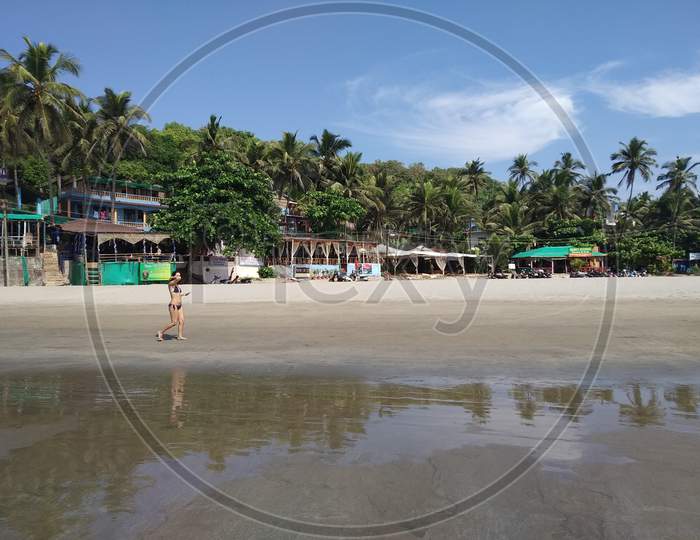 arambol beach in Goa 2020
