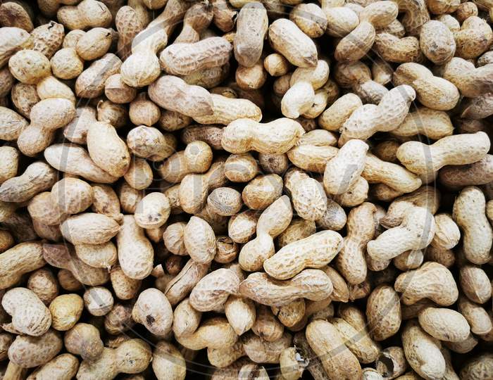 The peanut, also known as the groundnut, goober, pindar or monkey nut, and taxonomically classified as Arachis hypogaea, is a legume crop grown mainly for its edible seeds. It is widely grown in the tropics and subtropics, being important to both small and large commercial producers
