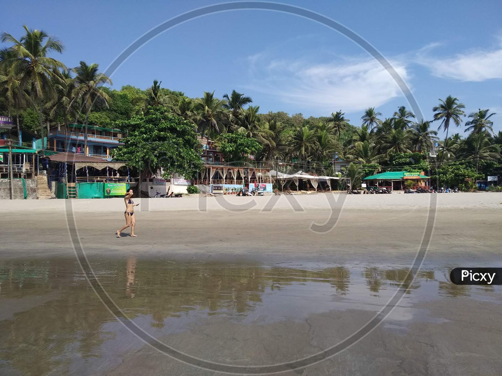 arambol beach in Goa 2020