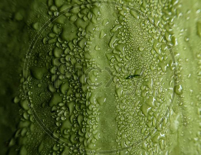 Water droplets on green background, closeup, macro
