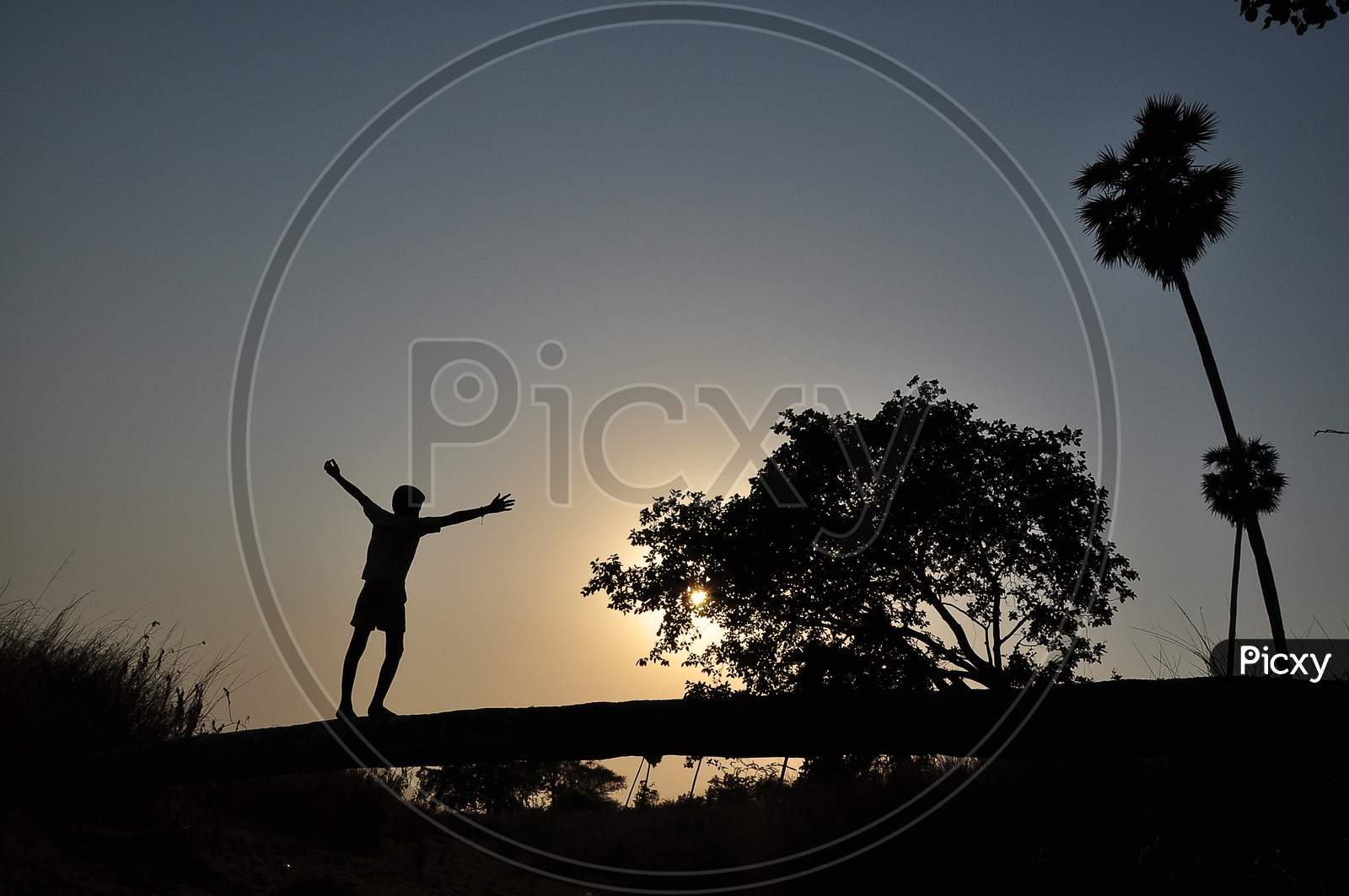 Silhouette of a boy dancing near the lake while the sunsets behind the tree