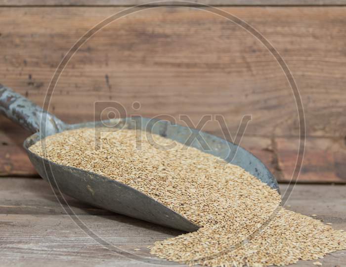 A Spoon With Birdseed For Sale In The Forage