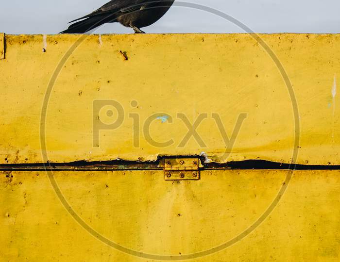 Crow Standing On A Fence Under The Sky