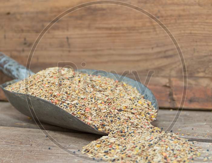 A Spoon With A Mixture Of Grains To Feed Canaries For Sale In The Forage