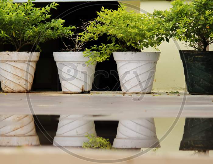 Flower Pots Placed Neatly In A Line Getting Reflected On Water