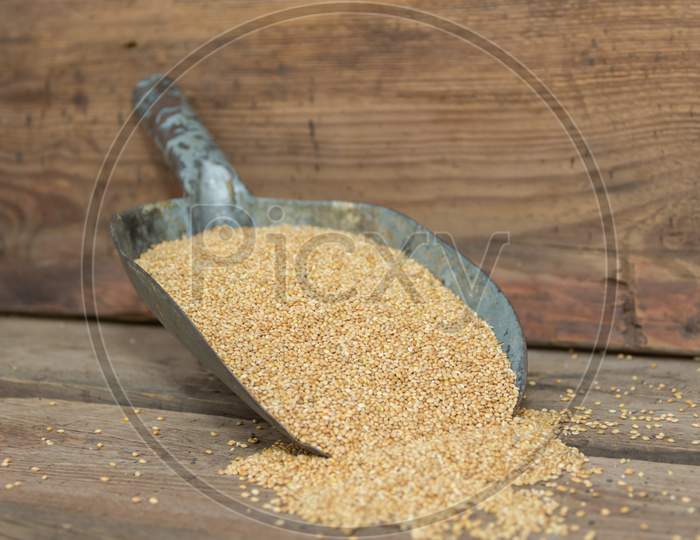 Spoon With Millet For Bird Feed For Sale In The Forage