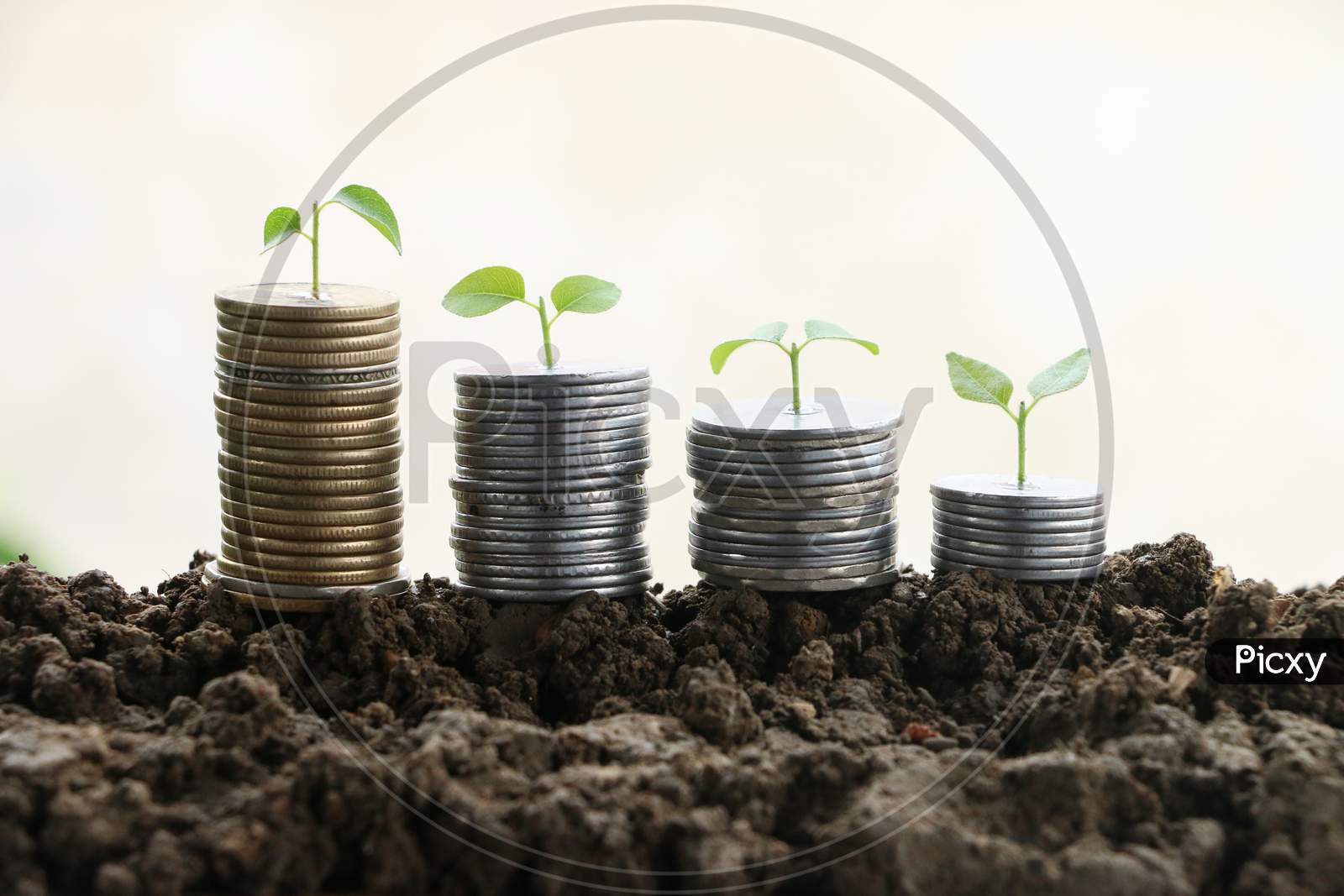 Coins And Plants Are Grown On A Pile Of Coins For Finance And Banking. The Idea Of Saving Money And Increasing Finances.