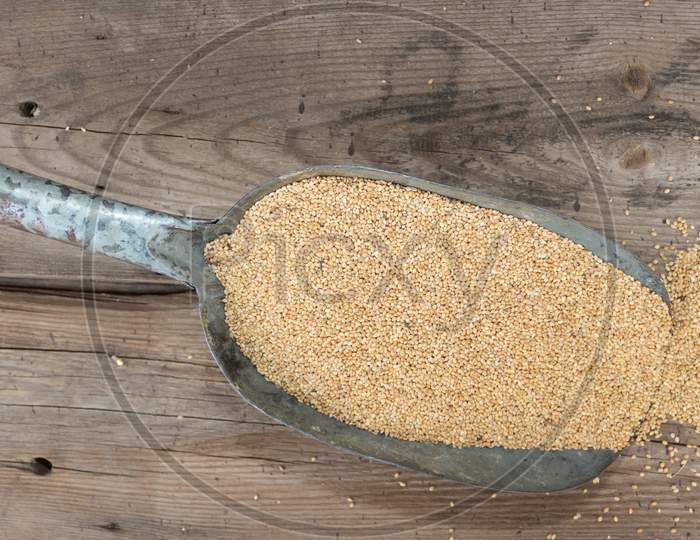 Spoon With Millet For Bird Feed For Sale In The Forage
