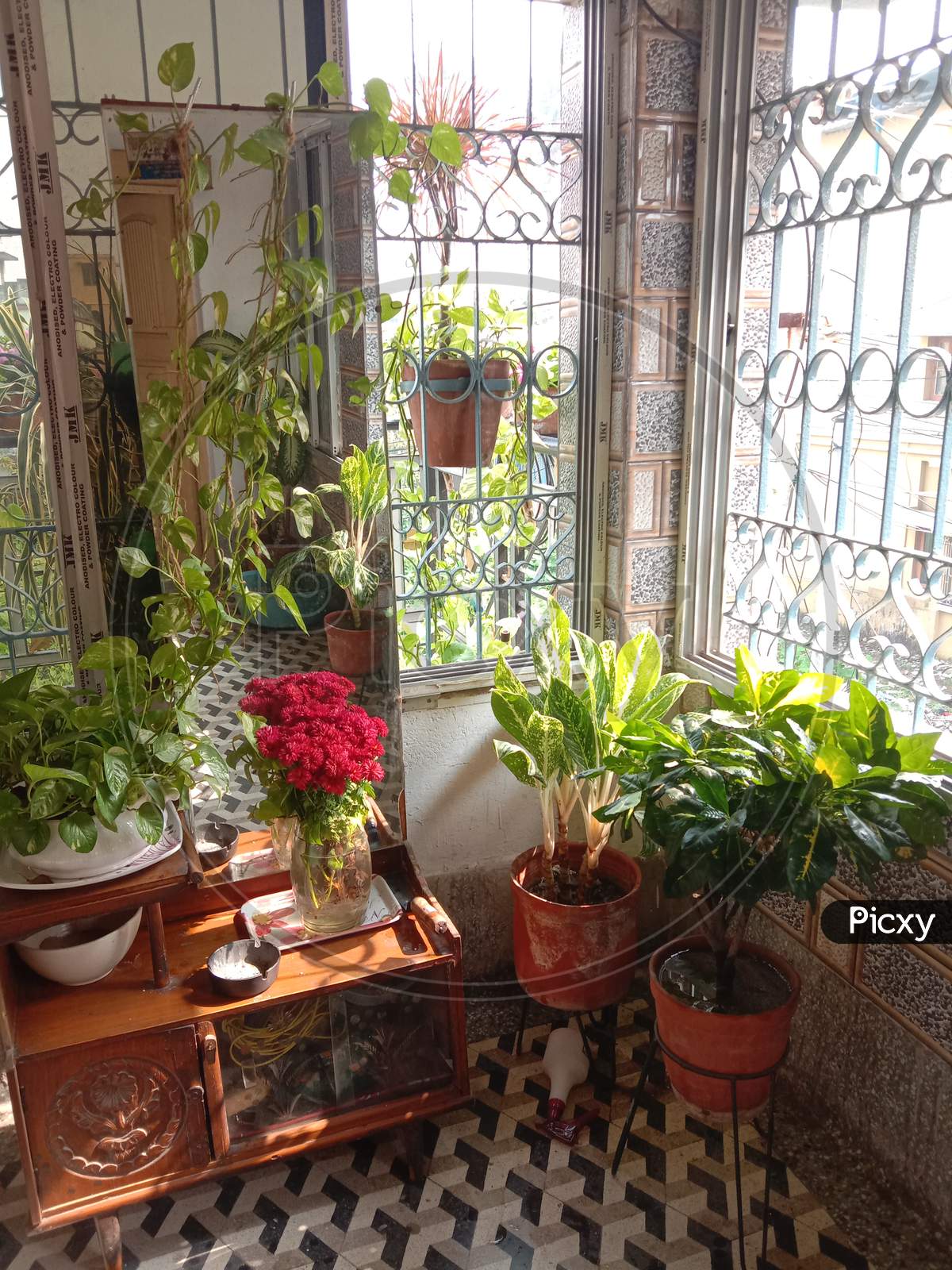Indoor garden,indoor plants