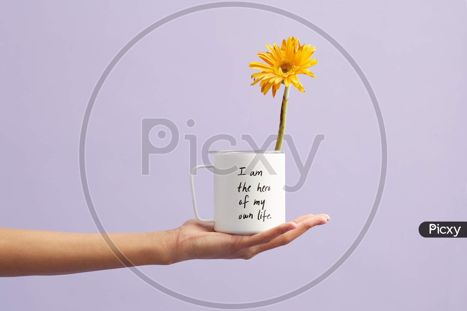 Yellow Petaled Flower In White Mug with a quote " I am the hero of own my life ".