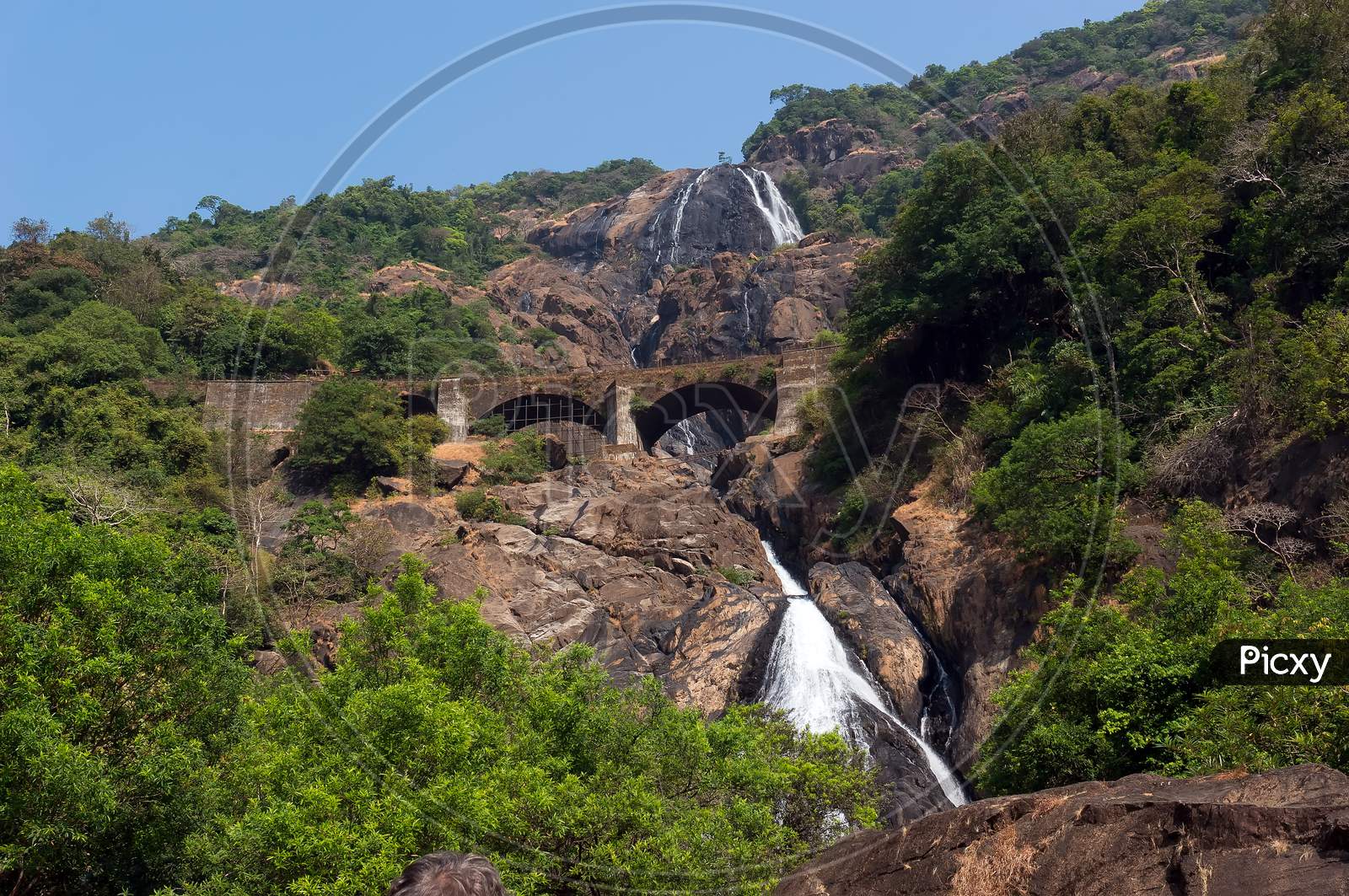 Dudhsagar - Natural Landmark Of The State Of Goa. Reserve In The Mountains