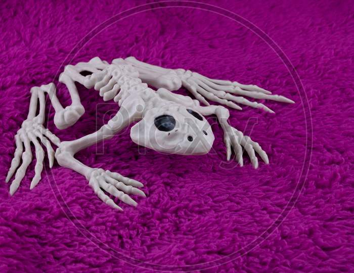 Spooky Toad Skeleton On Fluffy Purple Background. Concept For Creepy Crawly Halloween.
