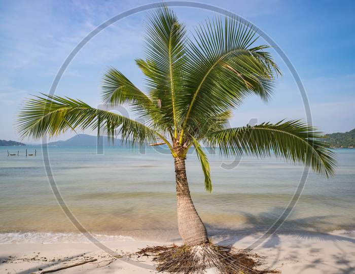Palm Trees And Amazing Cloudy Blue Sky At Tropical Beach Island In Indian Ocean. Coconut Tree With Beautiful And Romantic Beach