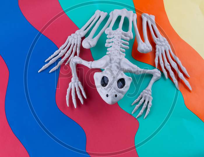 Sinister Toad Skeleton With Black Eyes On Bright Wavy Brightly Coloured Background