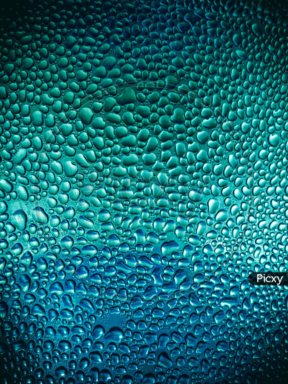 Water droplets , macro photgraphy