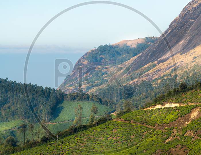 Mountains And Valleys Of Munnar