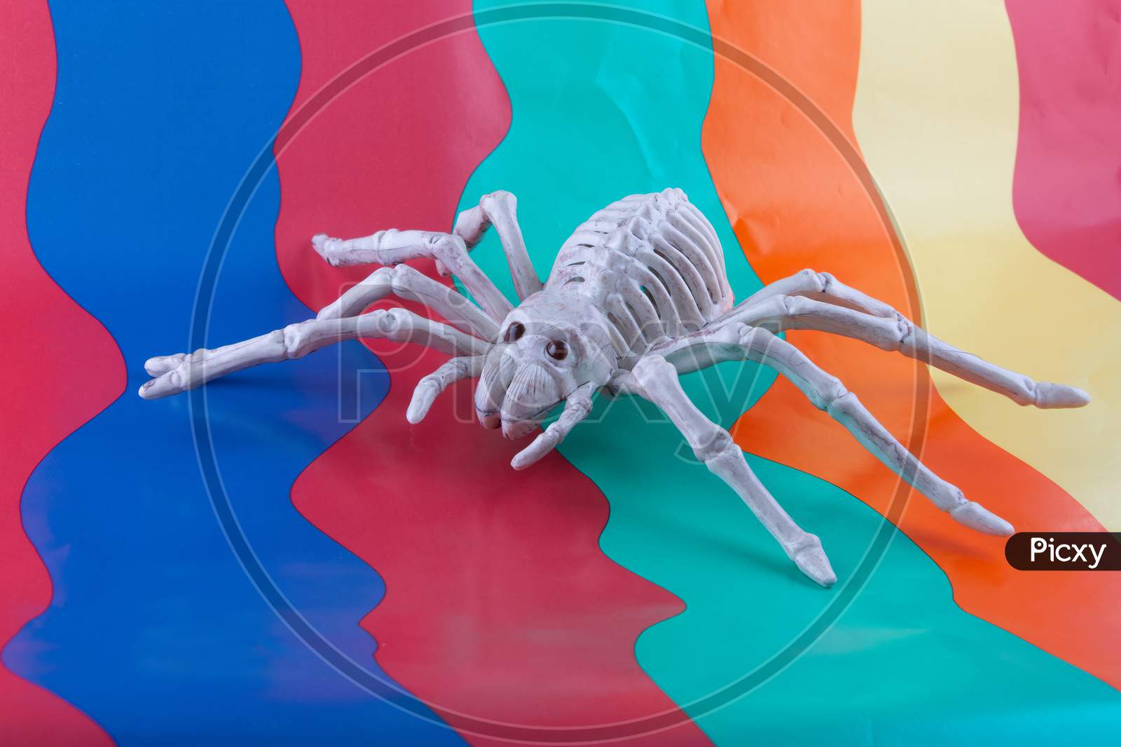 Sinister Spider Skeleton With Red Eyes On Bright Wavy Brightly Coloured Background