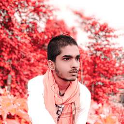 Profile picture of Kaushal Kumar on picxy
