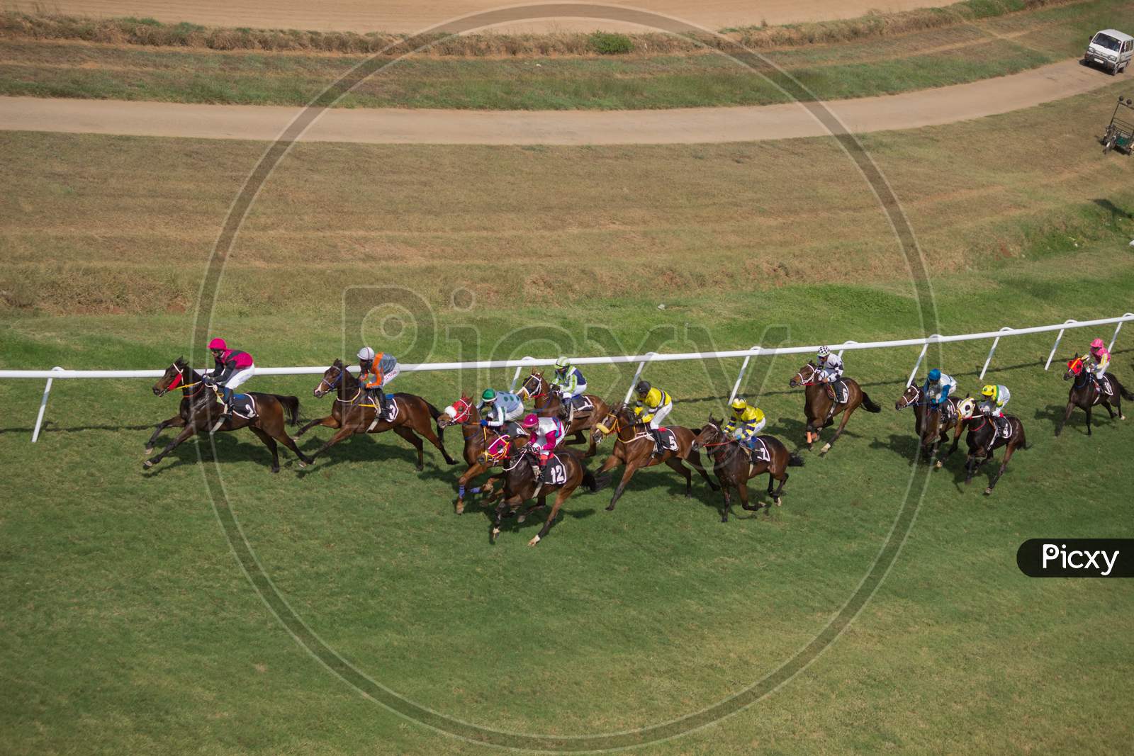 An Action Scene of a Horse racing event organised regularly during Dussehra festival and is a great Tourist Attraction in Mysuru cityscape of Karnataka/India.