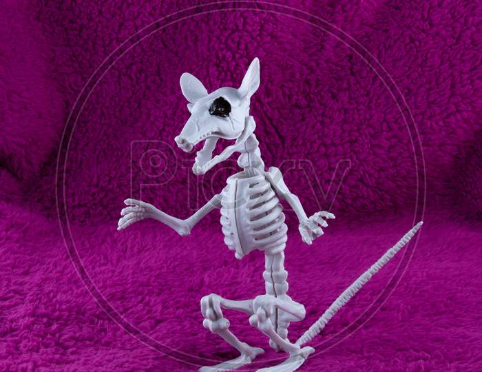 Scary Rat Skeleton With Black Eyes On Fluffy Purple Background. Concept For Halloween Scare.