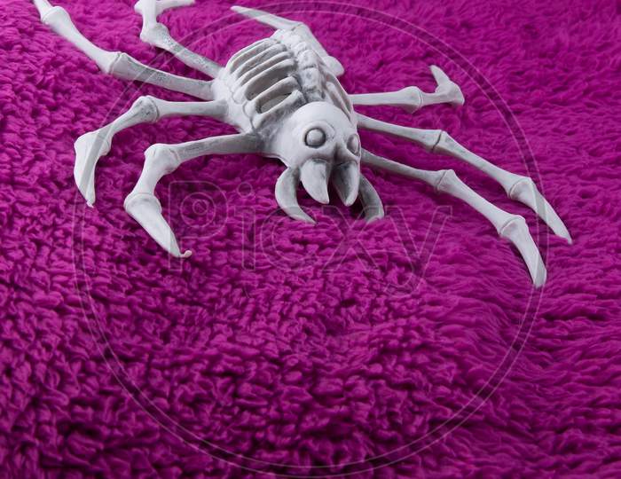 Scary Spider Skeleton  With White Eyes On Fluffy Purple Background. Concept For Creepy Halloween