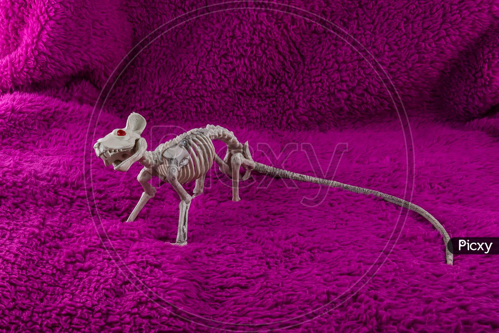 Scary Rat Skeleton With Red Eyes And Long Tail On Fluffy Purple Backdrop.