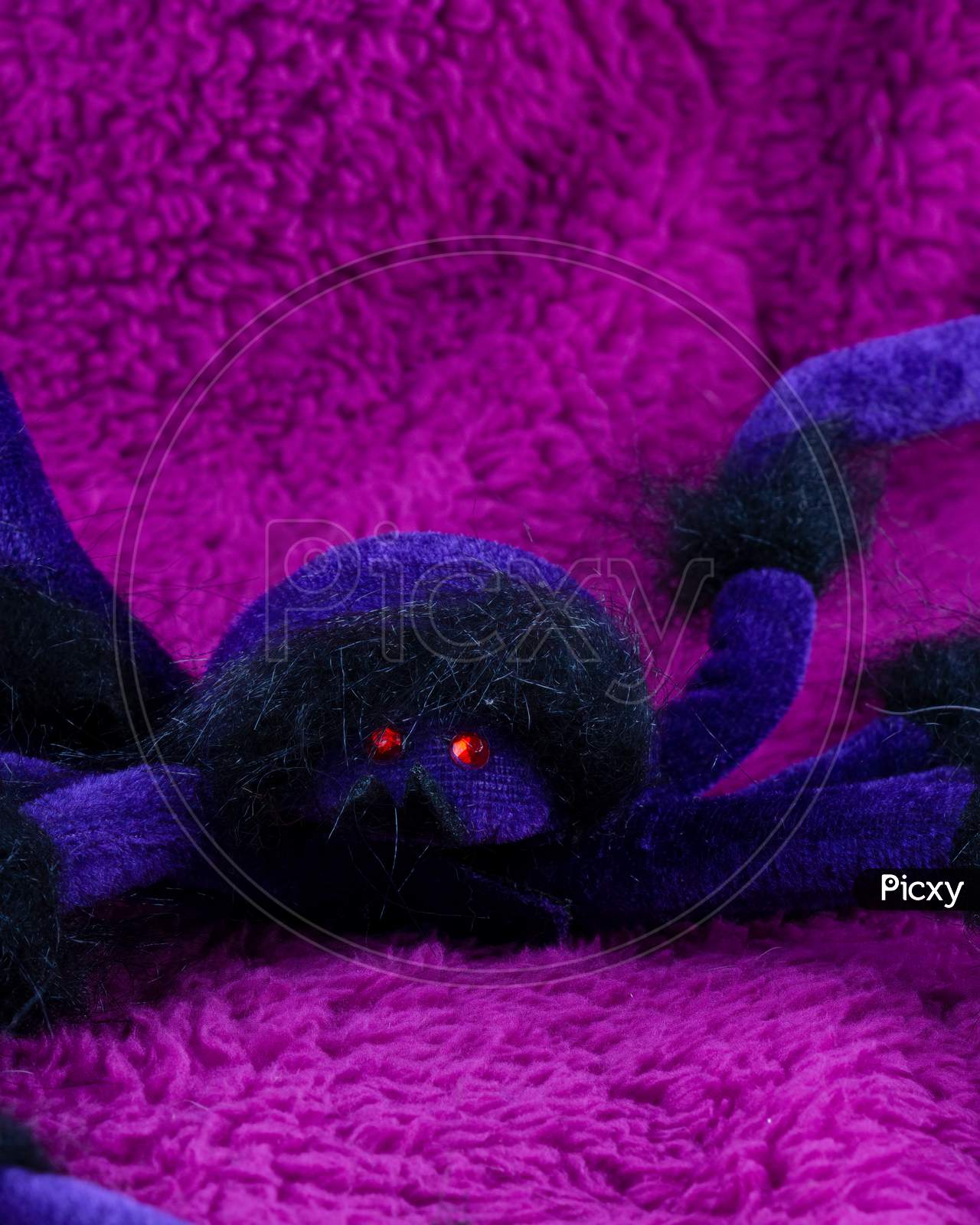 Scary Purple Hairy Spider On Fluffy Magenta Backdrop