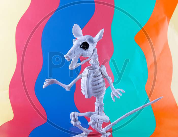 Sinister Rat Skeleton On Bright Wavy Brightly Coloured Background