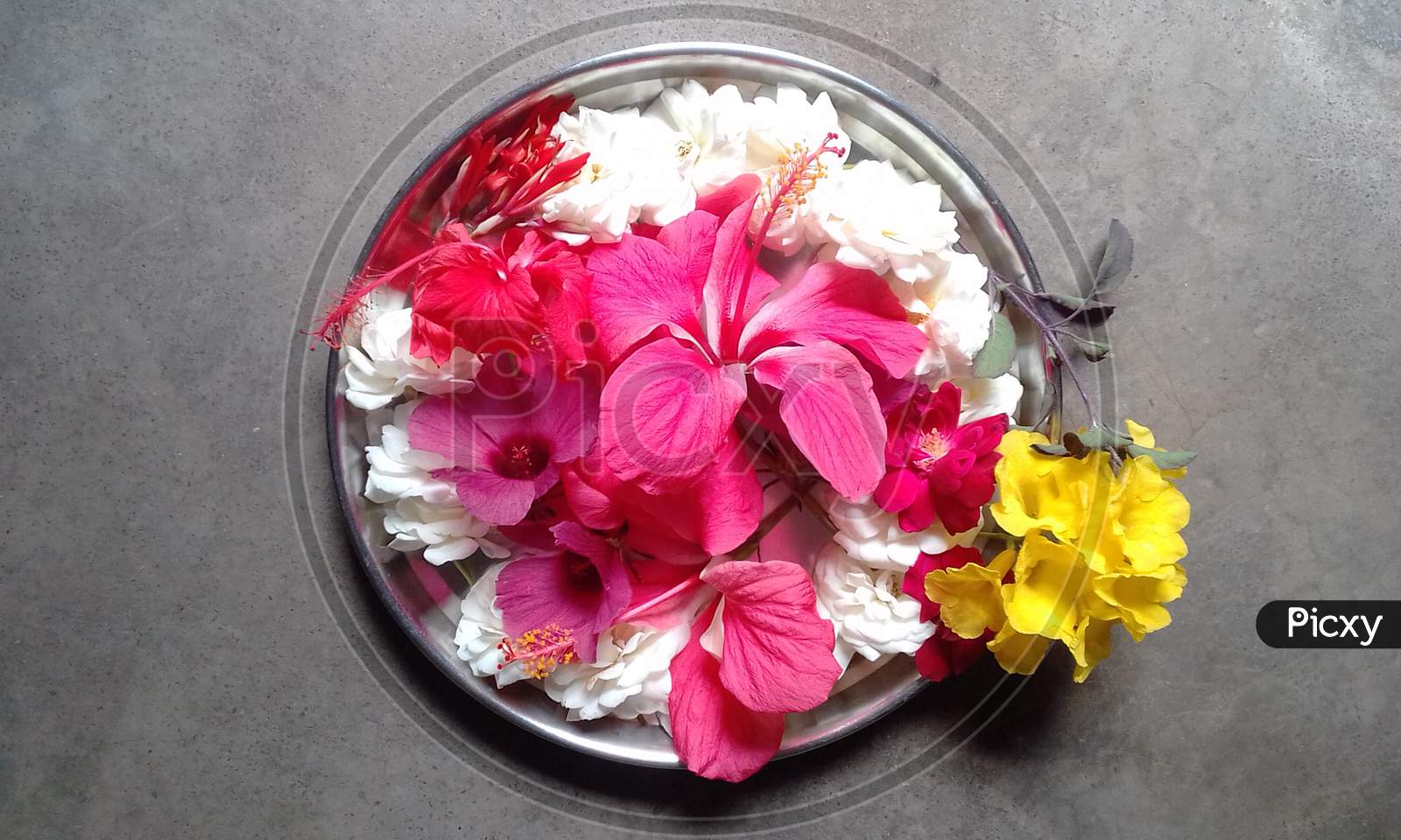 conglomeration of different flowers in a plate