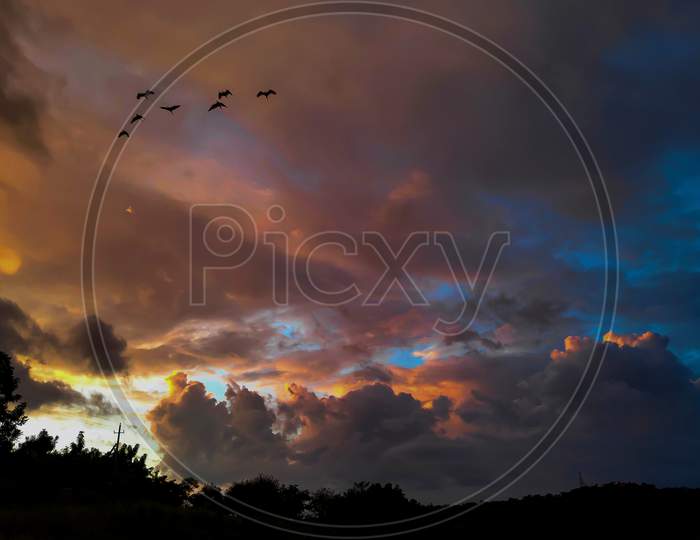 Birds flying by the beautifully colored clouds