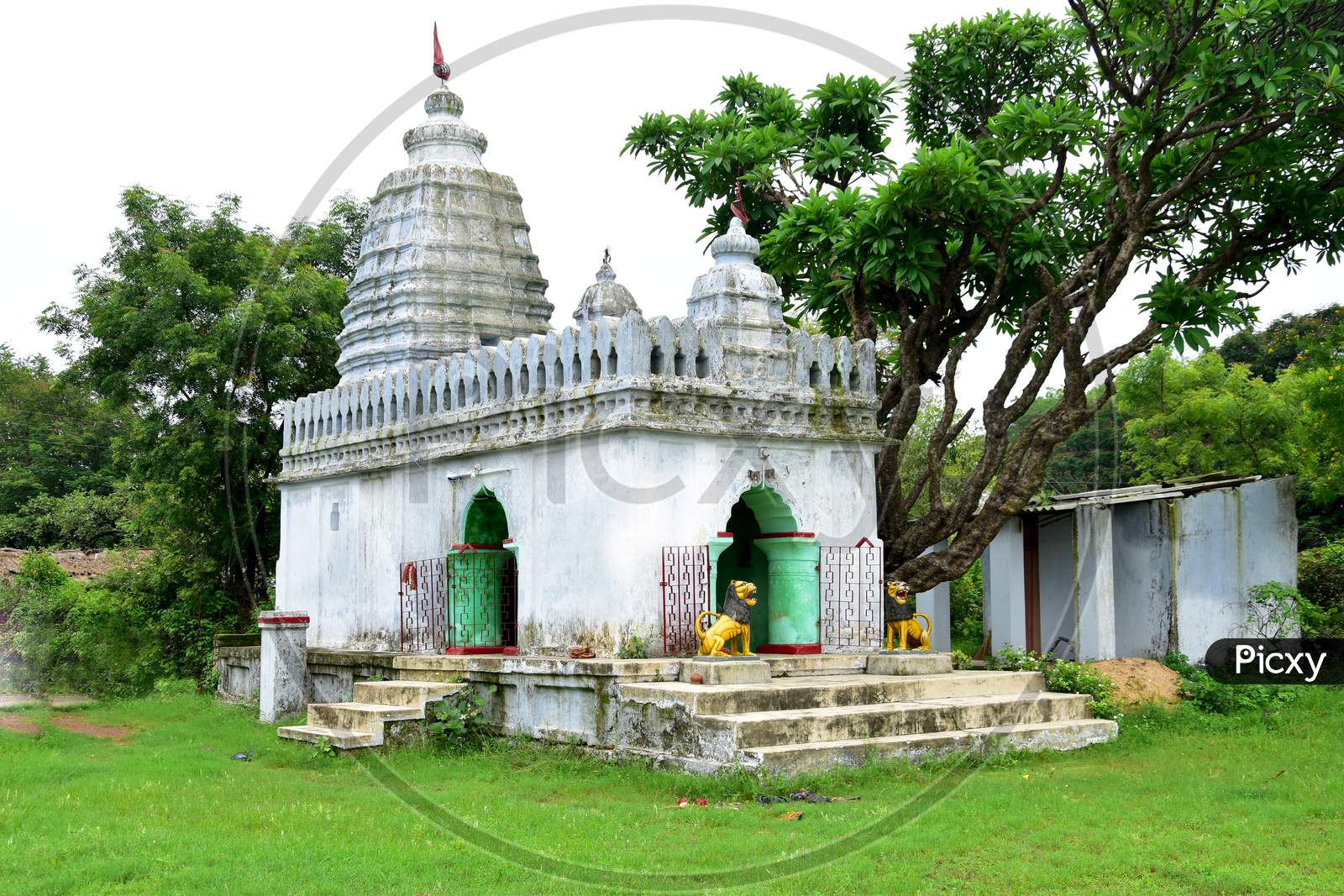 Maa Samaleswari Temple