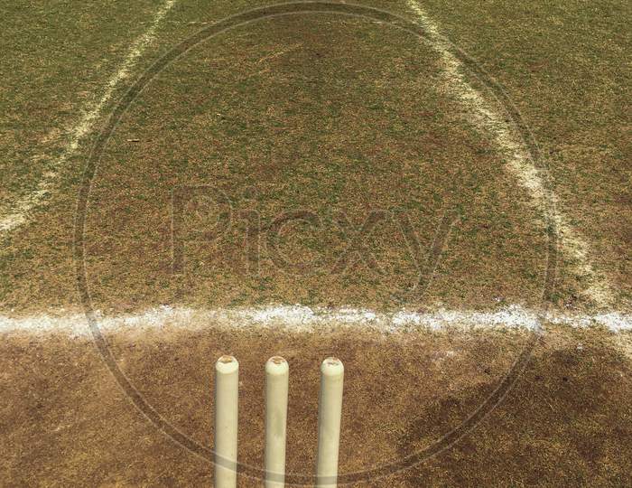Cricket pitch stumps