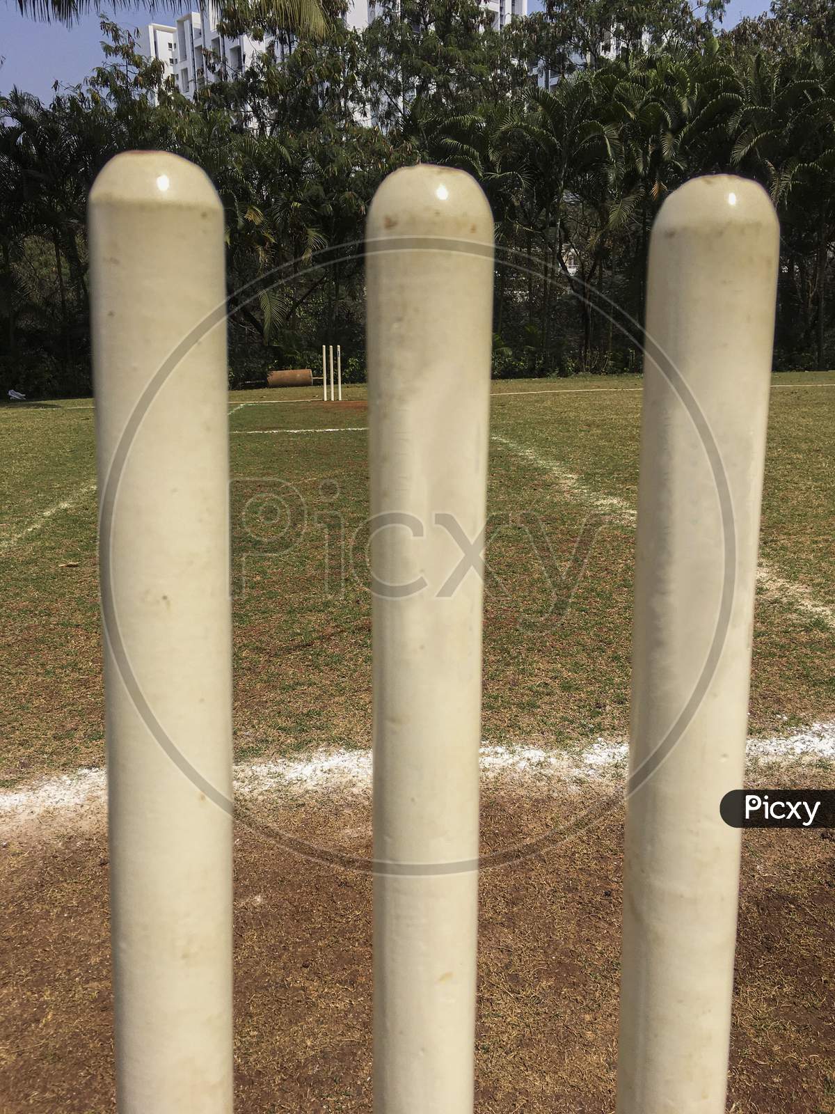 Cricket stumps close-up | Stumps to stumps view