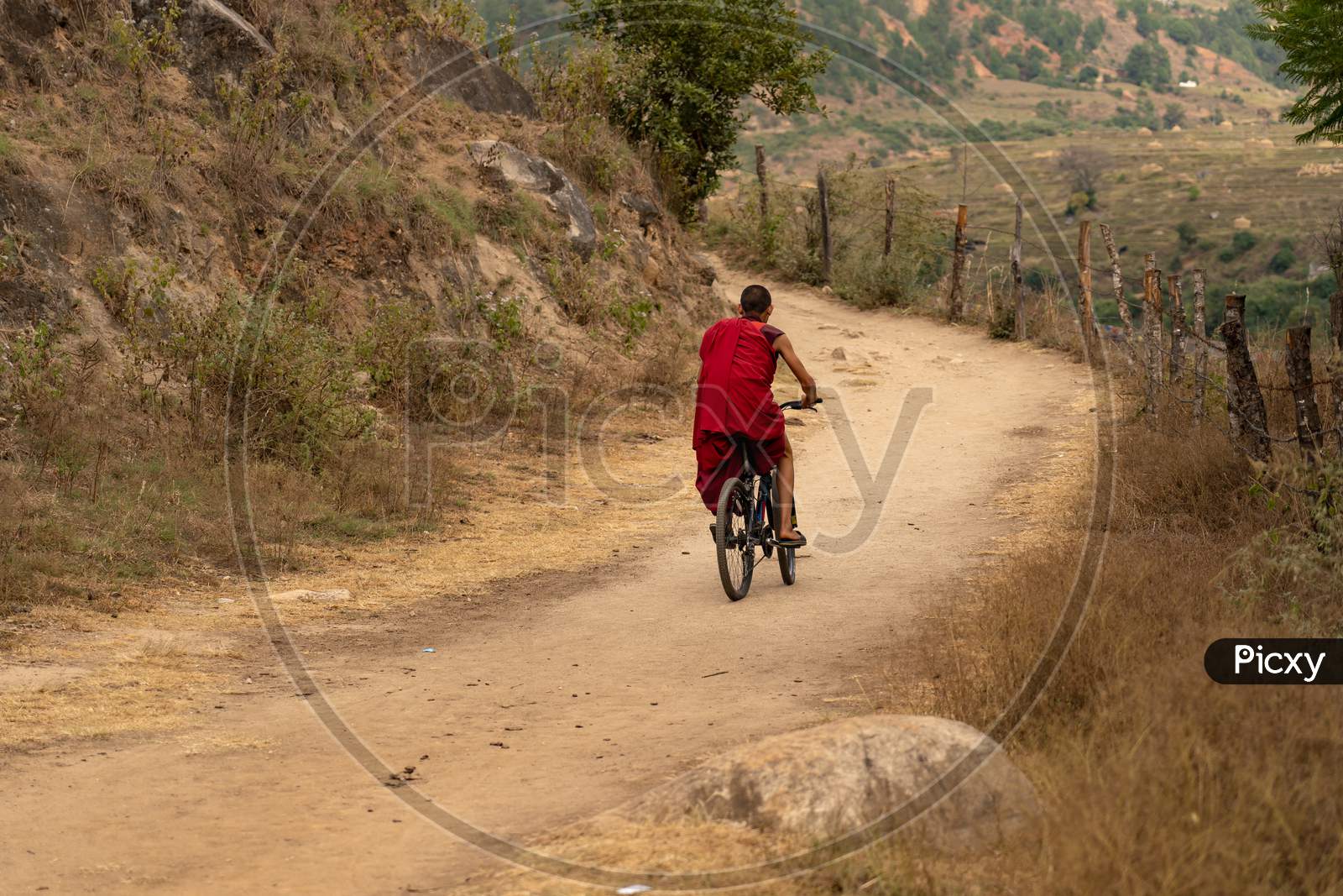 Monk Riding Bicycle