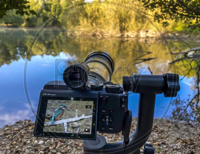 Frankfurt, German - September 26th 2020: A german photographer taking pictures with the APS-C camera Canon EOS M6 Mark II in combination with the Canon lens 100-400 m L IS USM from a kingfisher.