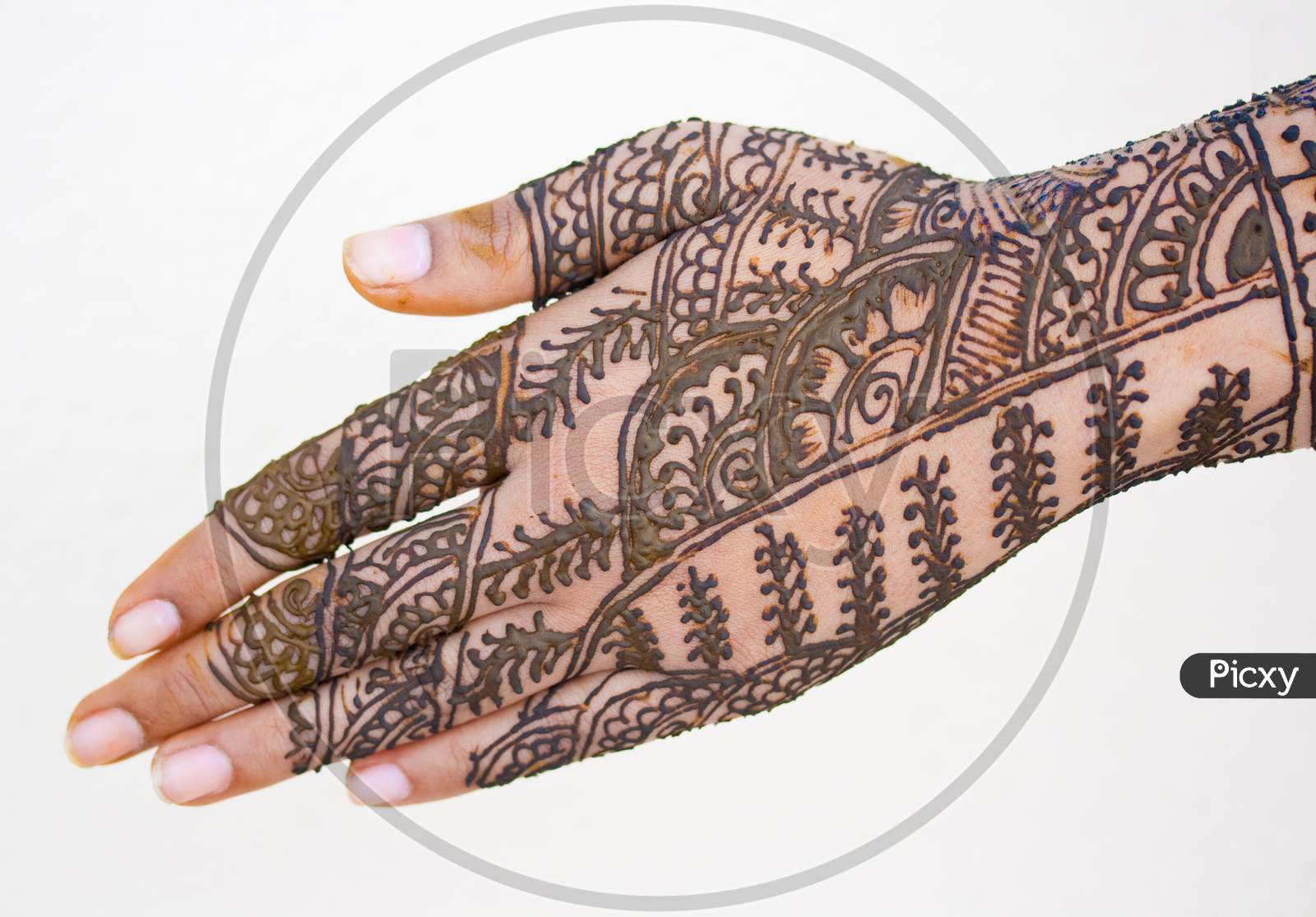 Beautiful Artwork Drawn On The Hand With Mehndi.