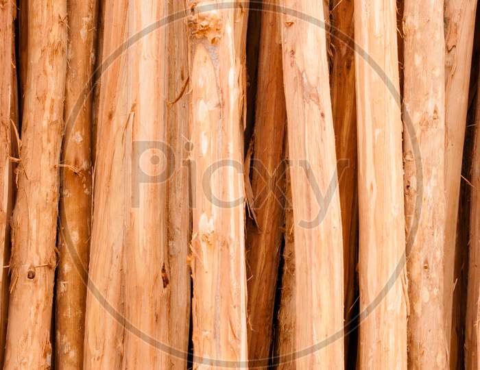 Fresh Textured Wood Background