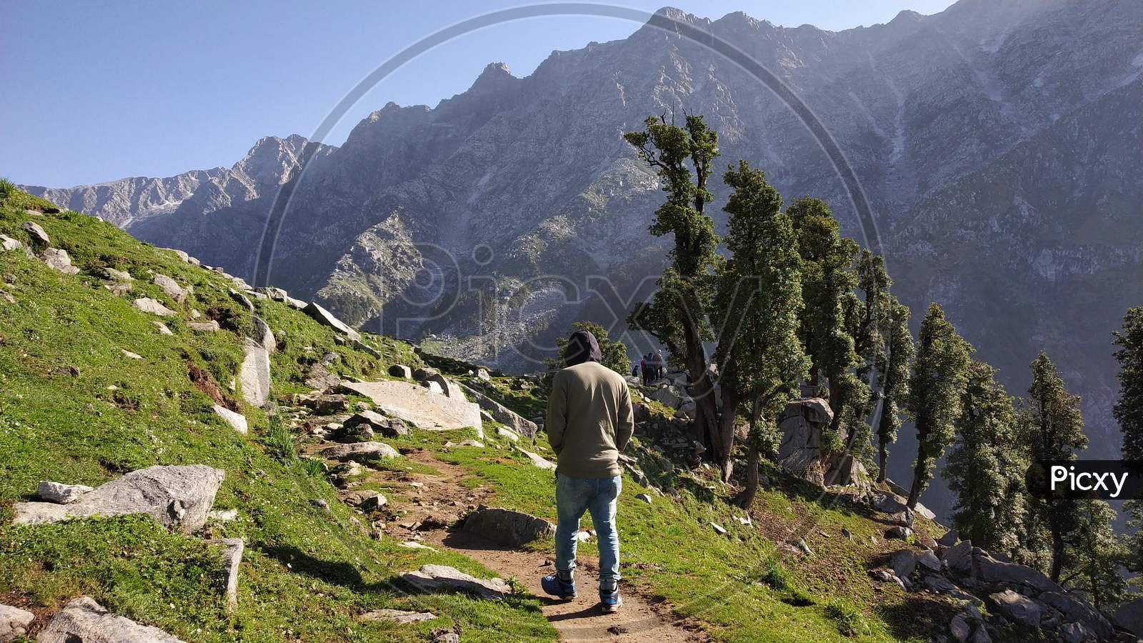 Hiker walking on top of a mountain and enjoying the view in India Mountains Himalayas Dharamshala Triund Himachal Pradesh. Mountaineering sport