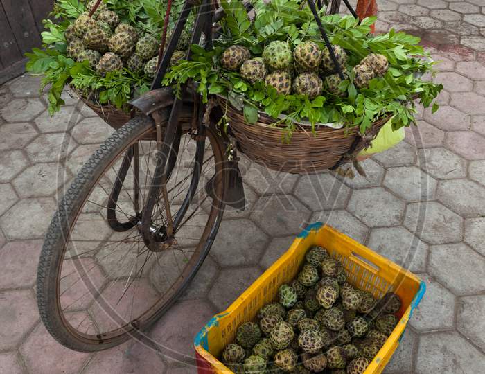 Bicycle Of A Fruit Seller Selling Custard Apple.