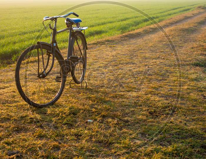 Classic Farmer'S Cycle In The Field