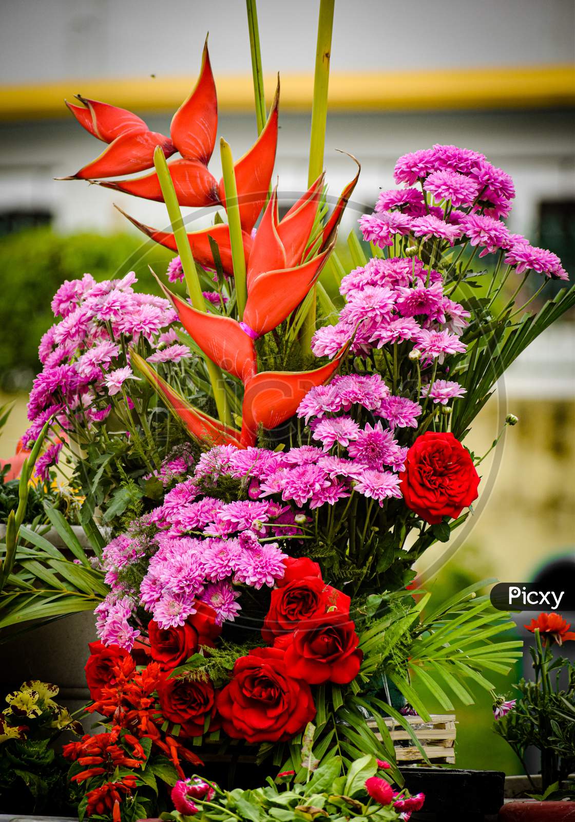 Bouquet of colourful flowers
