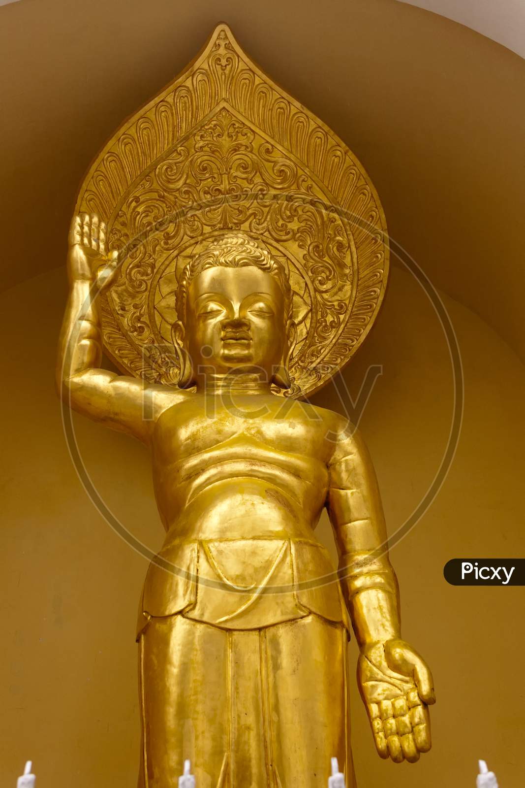 Young Golden Gautama Buddha Statue