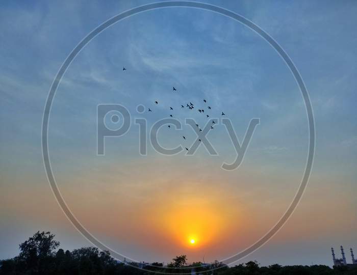 Sun set with birds